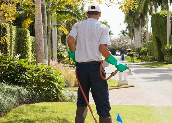 About Danvers MA Pest Control Pros